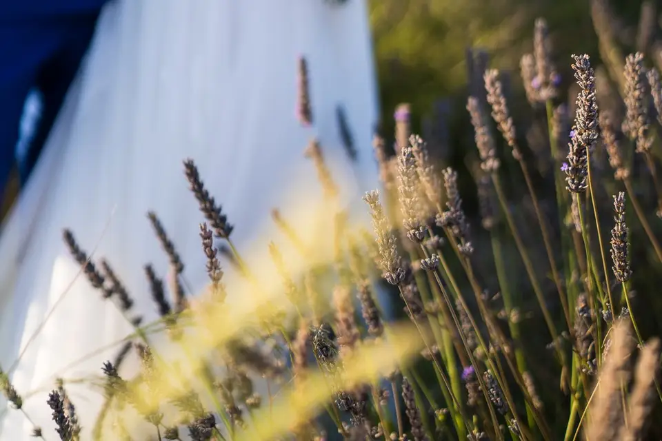 EV Photographie — photo 2