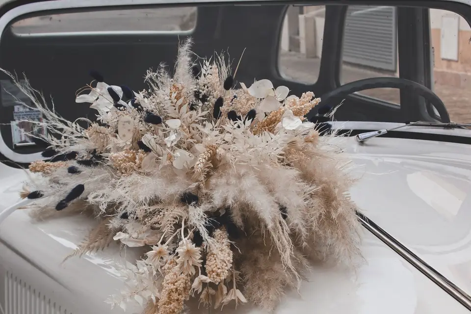 DLDN Photo — photo 2