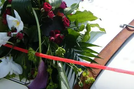 D'une fleur à l'autre — photo 5