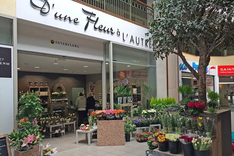 D'une fleur à l'autre