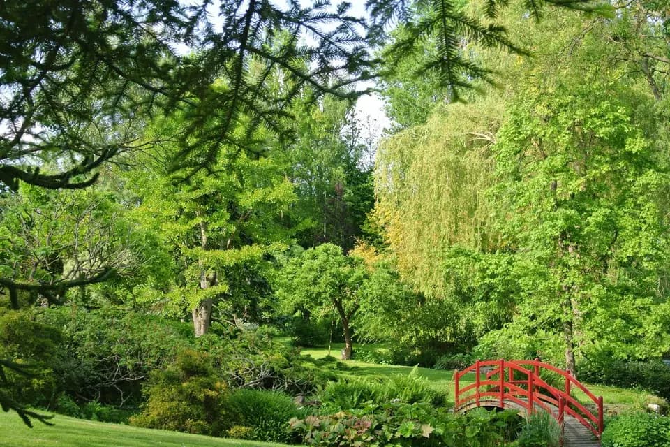 Jardin du Moulin Ventin — photo 6