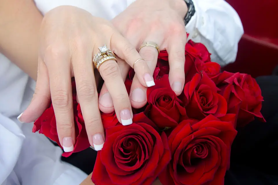 Nos Alliances — photo 2