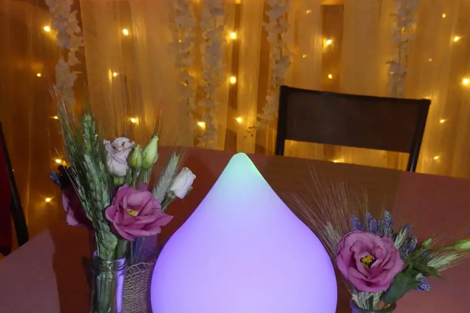 Annyflor — photo 4