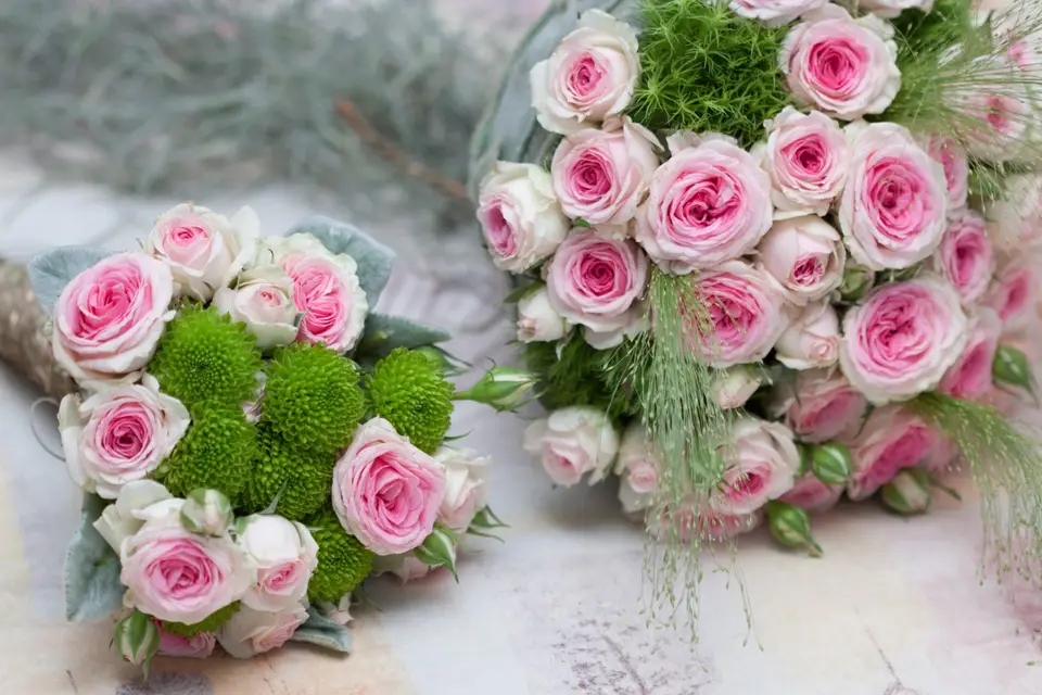 C'est Maman Qui L'a Fée — photo 3