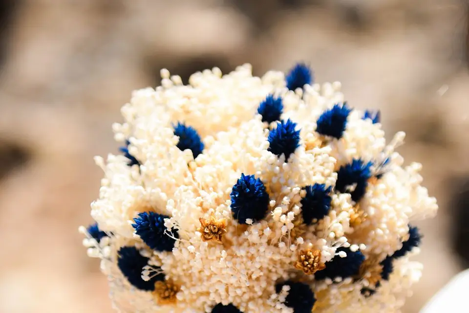 FlorAnna Creation — photo 6