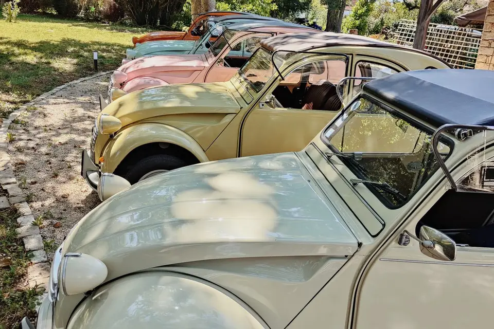 DSL Tours — photo 7