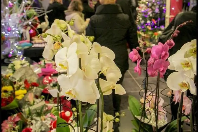 Herbelin Fleurs — photo 2