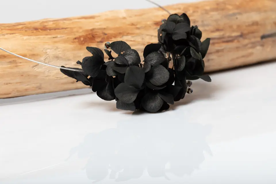 Pour la Vie — photo 4