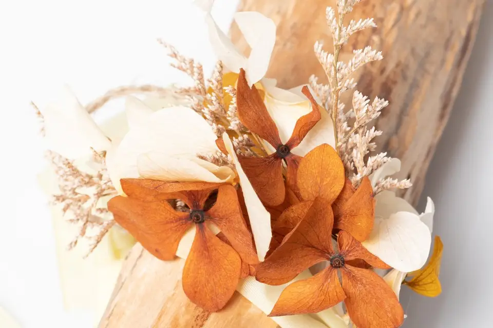 Pour la Vie — photo 3