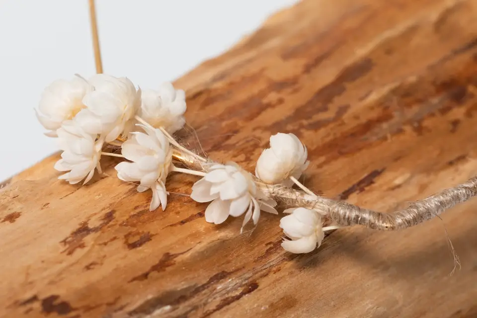 Pour la Vie — photo 1