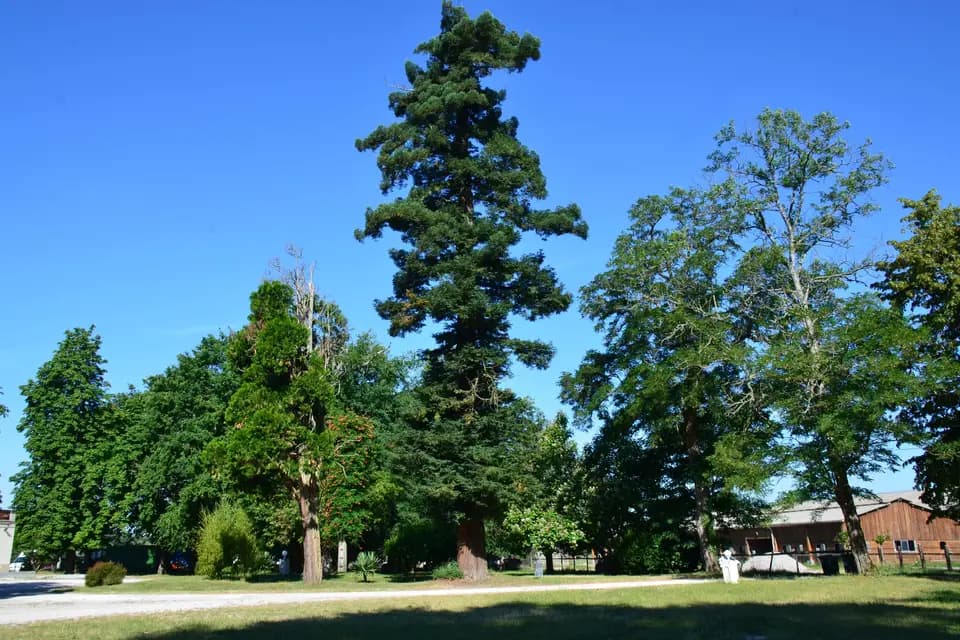 Le Caillavet — photo 4