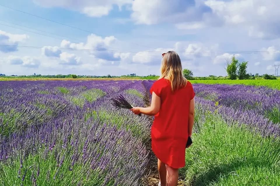 Houseboat Camargue — photo 3