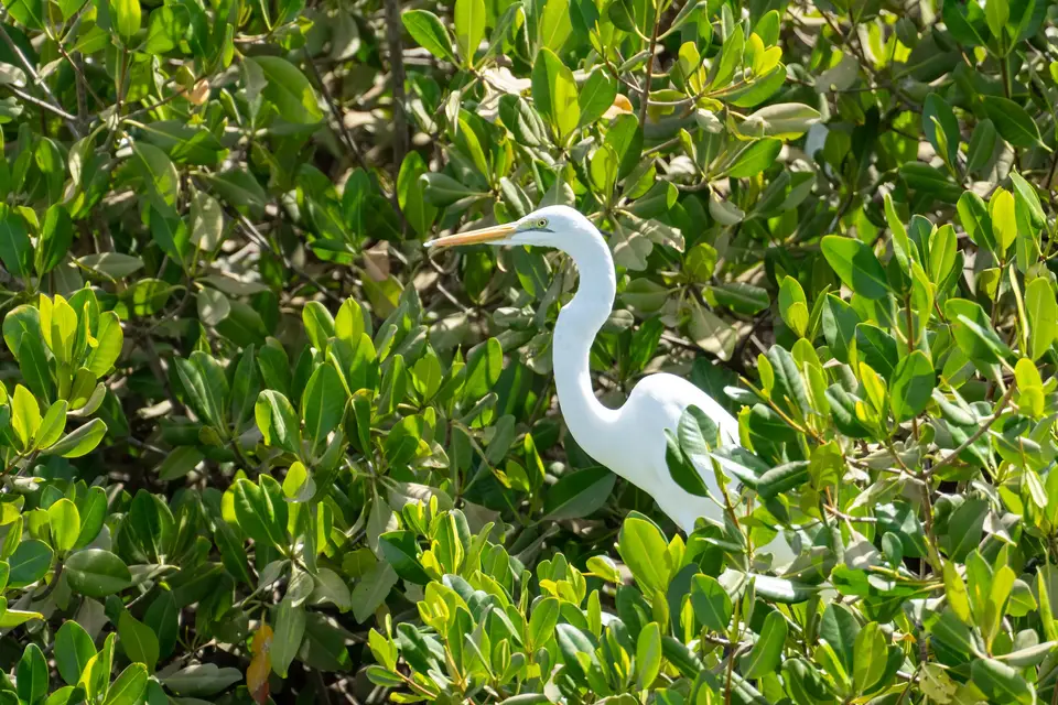 Houseboat Camargue — photo 6