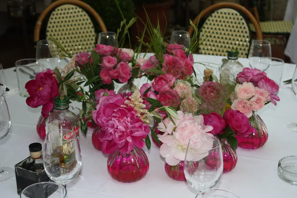 Influence naturelle — photo 7