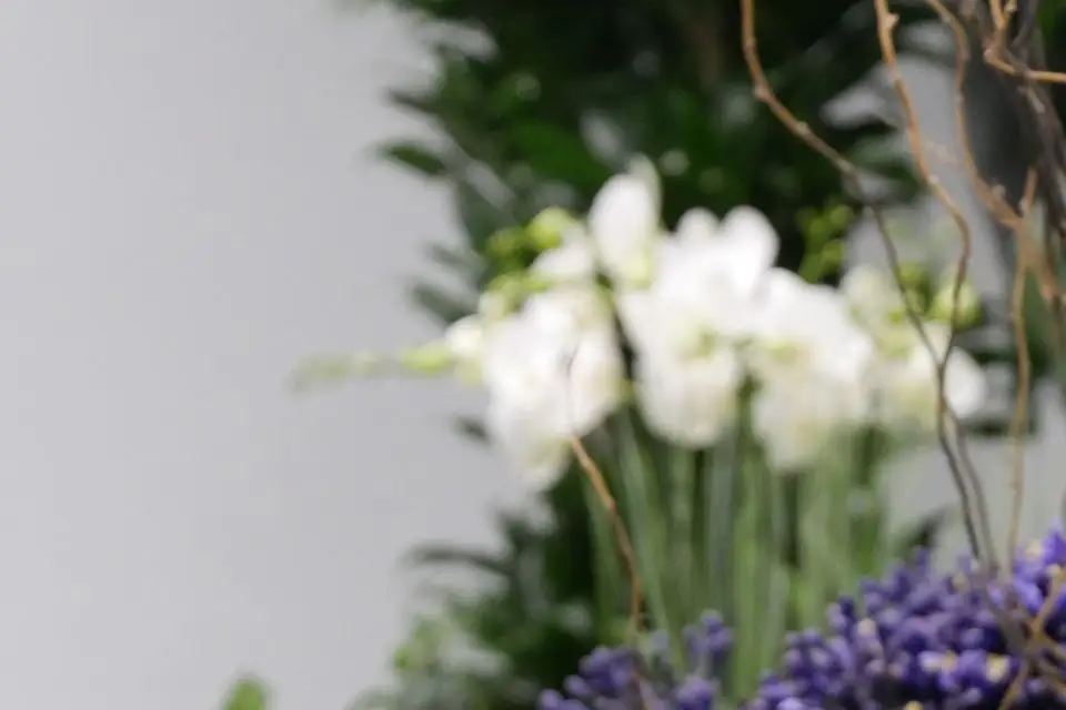 Vertdéco Le Comptoir — photo 7