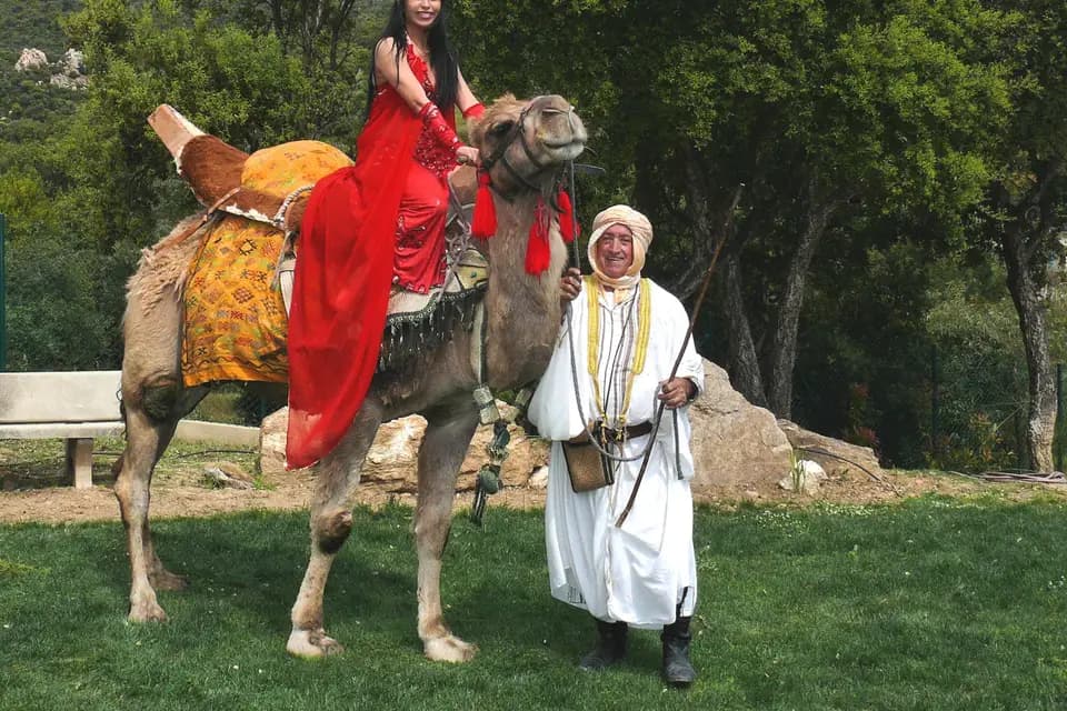 Yasmine - Danseuse Orientale — photo 3