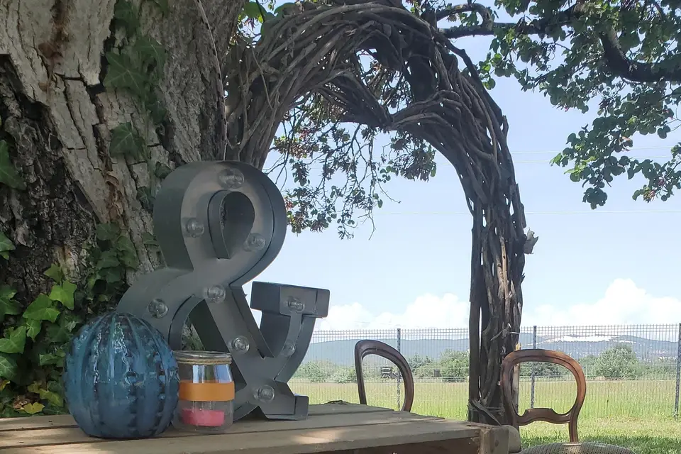 Les Céline's — photo 8