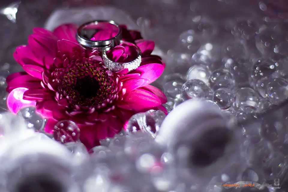 Bernard Favre Photos — photo 8