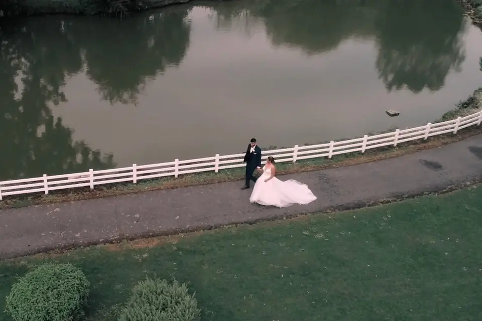 Ginkgo Vidéos — photo 4