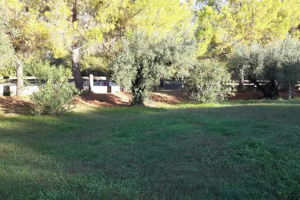 Manade Vitou — photo 7