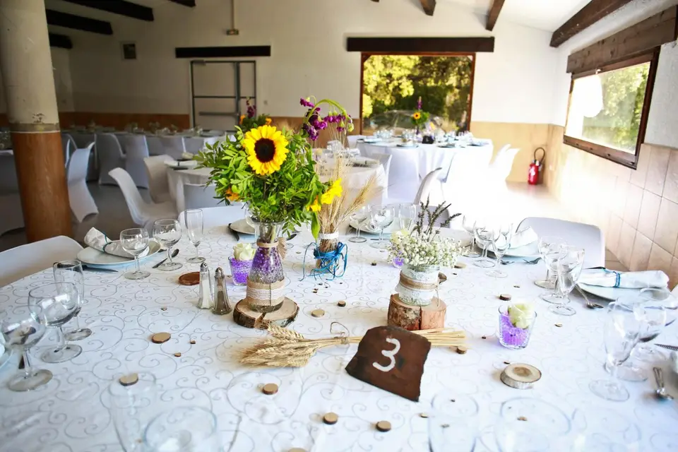 Manade Vitou — photo 4