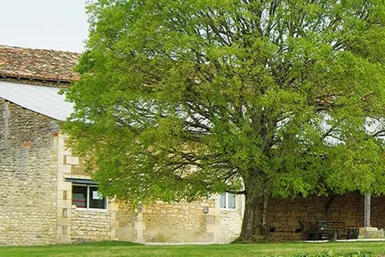 Logis du Bournet — photo 1