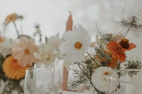 L'Aurette Ferme Florale — photo 3