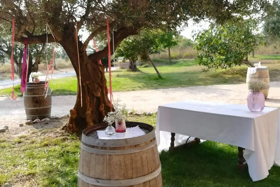 Céraphine Evénéments — photo 5