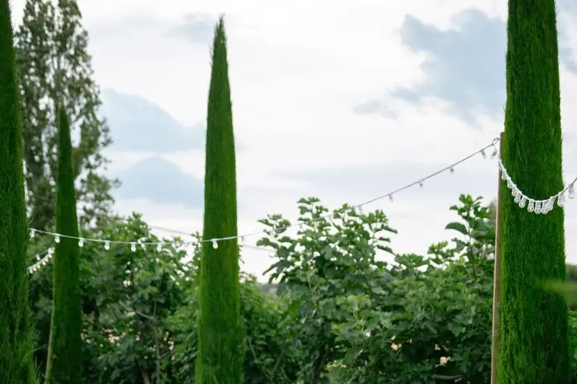 Domaine de l'Abbaye Saint-Eusèbe — photo 7