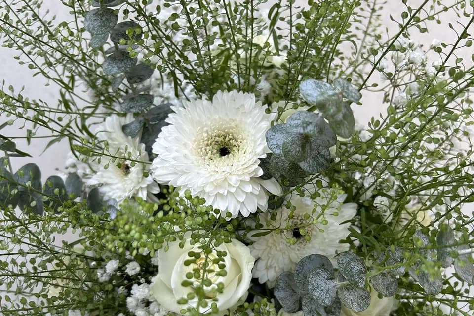 Estellecrea — photo 2