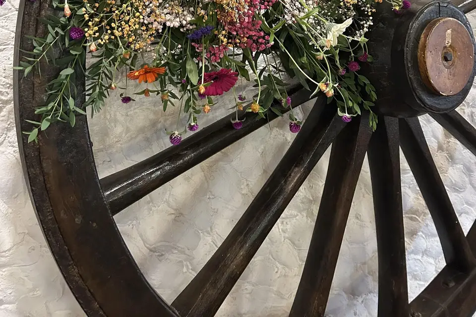 Estellecrea — photo 7