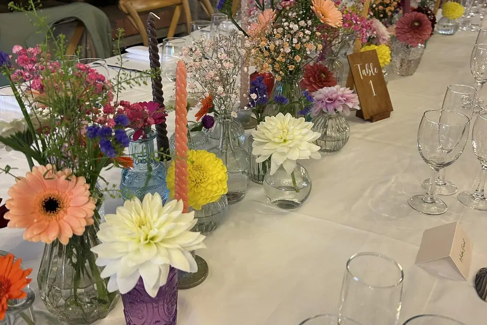 Estellecrea — photo 5