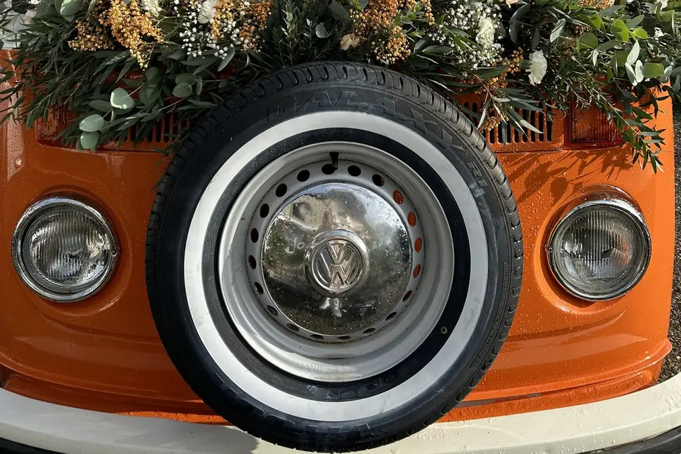 Estellecrea — photo 6