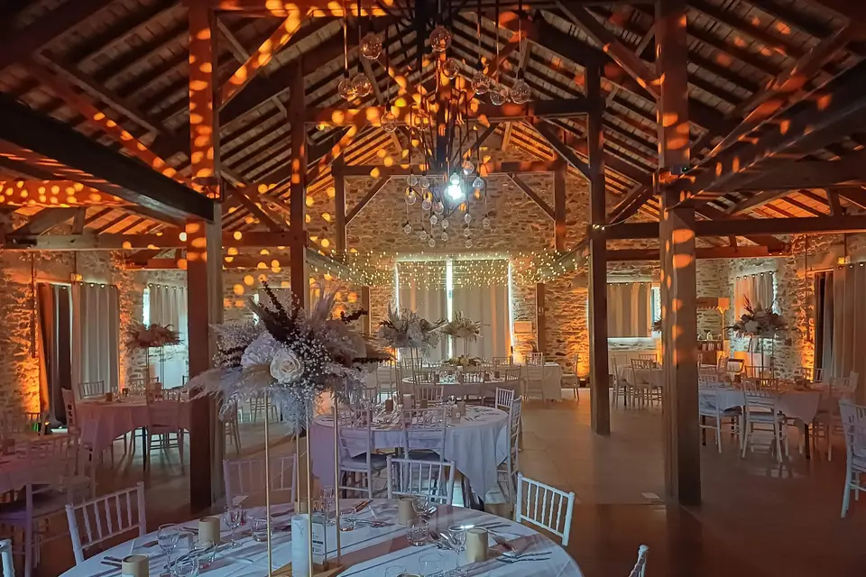 Disco JC — photo 5