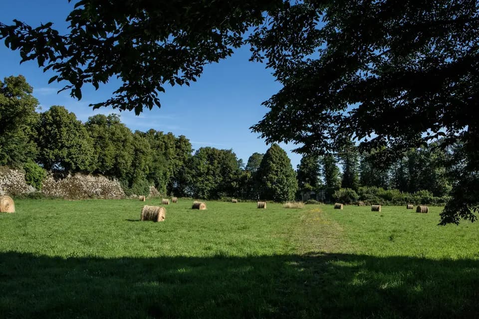 Château de Sainte Feyre — photo 4