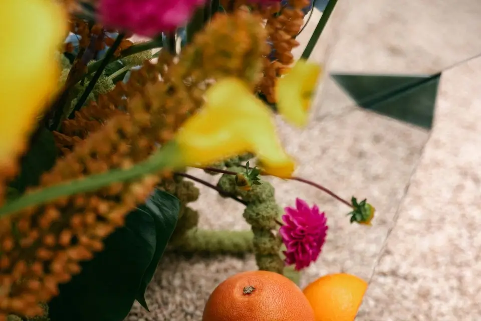 Les Folies Sauvages — photo 4