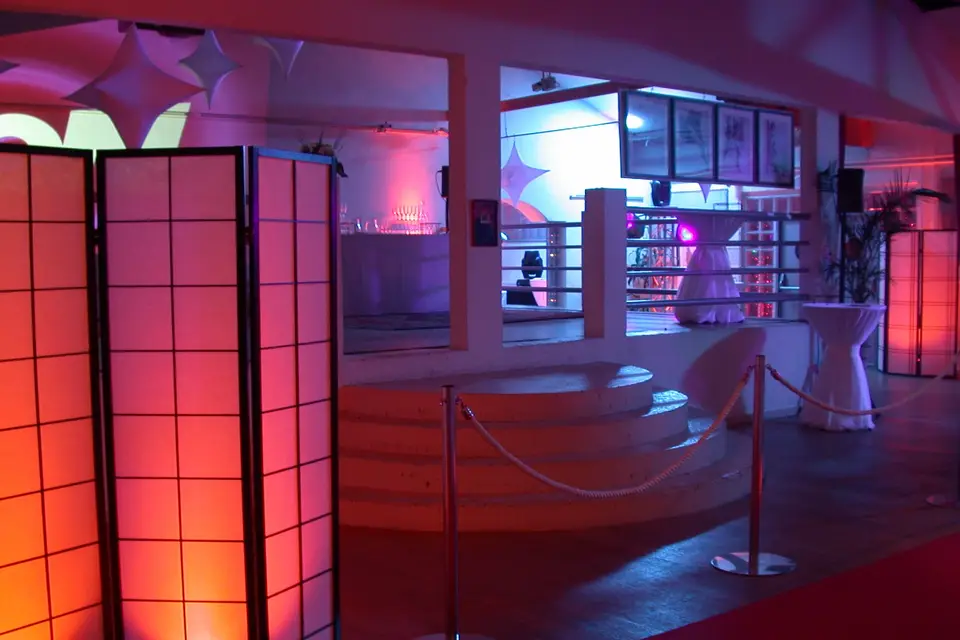 Animateur - Mariage — photo 4