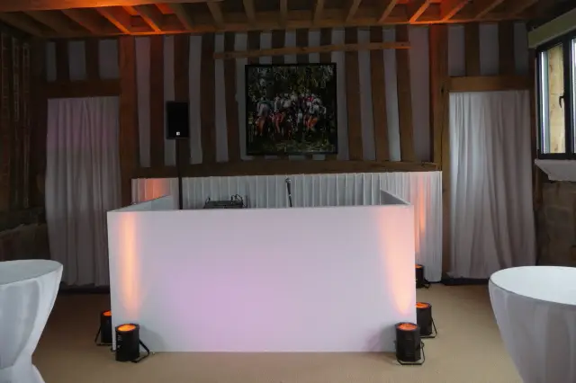 Animateur - Mariage — photo 6