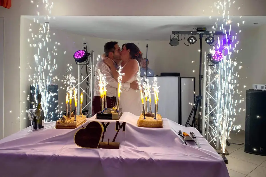 Soundlight System — photo 5