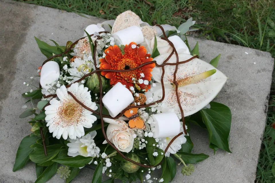 Seriflor — photo 2