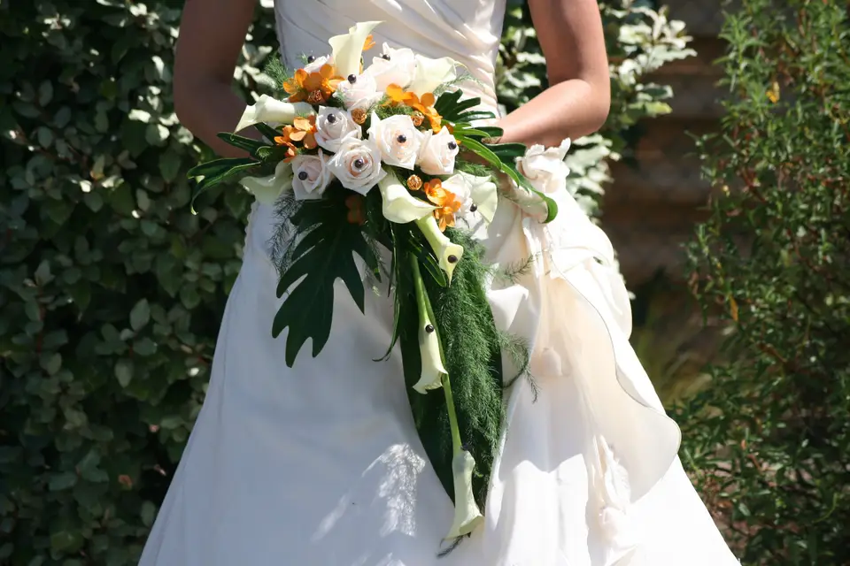 Seriflor — photo 1