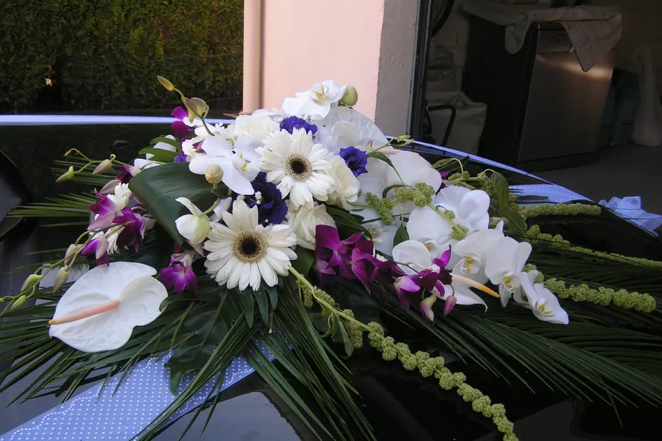 Seriflor — photo 6