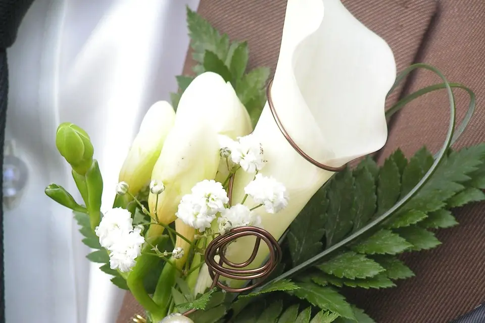 Seriflor — photo 5