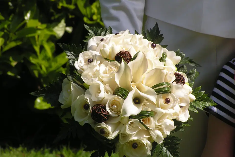 Seriflor — photo 7