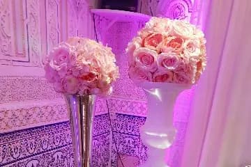 Yoshi Laurent Réception — photo 2