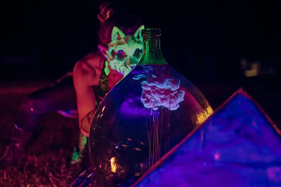 Safire - Spectacle feu et artifices — photo 3