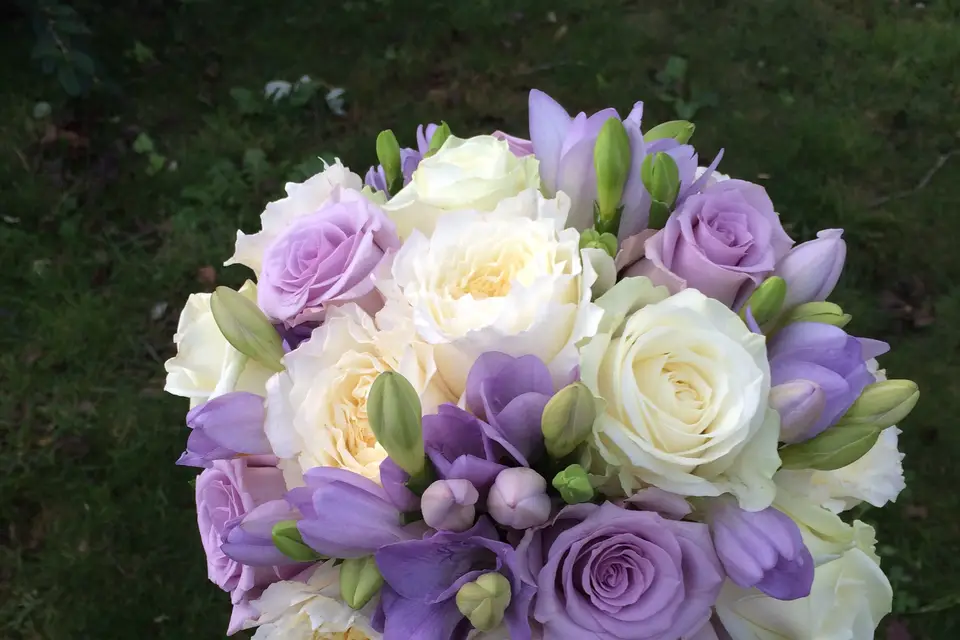 Flor'enzo — photo 1