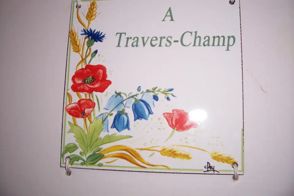 A Travers Champs — photo 7