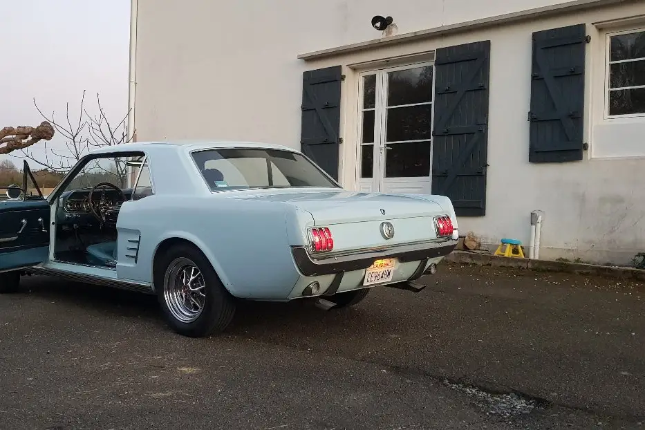 Dreamforyou — photo 4