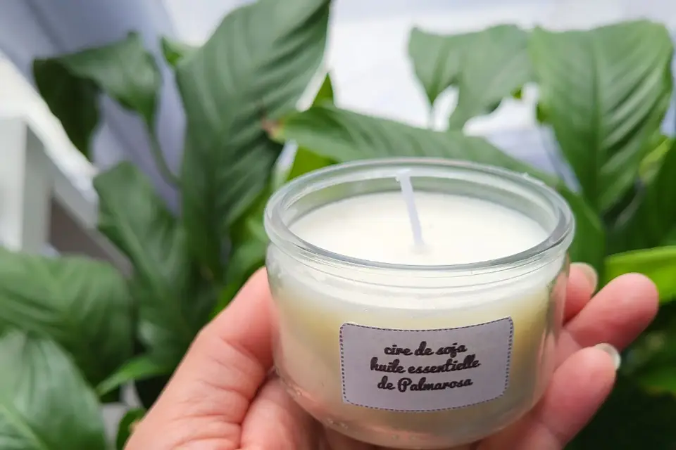 Flora Conseil — photo 7